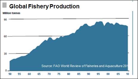 Findings - Fishery Fish catches declining since 1999 Fishing activities increased since 2001 Offshore E&P 1 began in 2007, 2010 Global declines due to overfishing Experts say that overfishing and