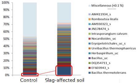 Change in soil microflora: Pyrosequencing (metagenomic analysis) Among the top 10 species, only 3 species remained. Bacillus thermotolerans: 2.2% 11.6% Structure of microbial community changed.