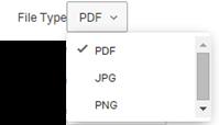 2. Select a File Type. Options include PDF, JPG and PNG. 3. Select a Paper Size and Orientation.