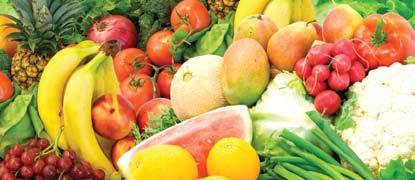 The major countries exporting fruits and vegetable seeds to India in 2016 included Thailand, Egypt, Chile, United States and China, accounting 64% of the total imports of fruits and vegetable seeds,