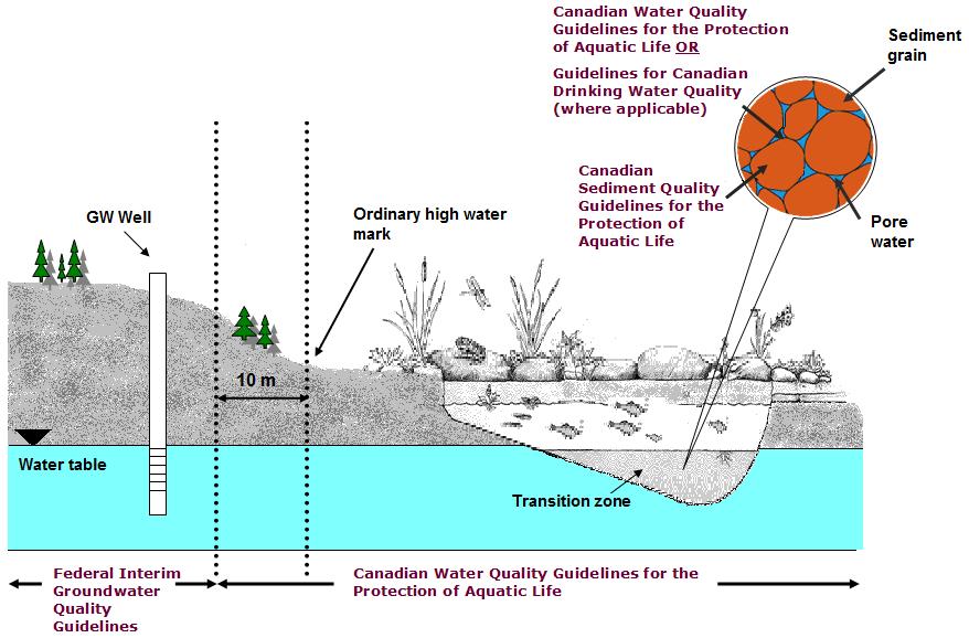 The following Figure 1 provides a visual representation of the groundwater and of where the various guidelines would apply near a surface water body.