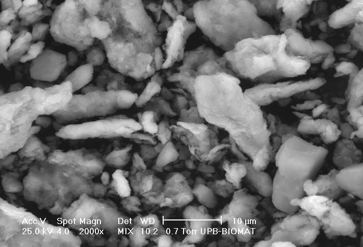 Obtaining by mechanical alloying of Al/Al 2 O 3 Gr powder composites and characterization 227 The results of the SEM microscopy investigation on the obtained Al/20%Al 2 O 3 /1%Gr and Al/20%Al 2 O 3