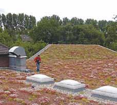 Supporting substructure gravel ballast roof systems grassed roof system with AUSTROPLAN TPO roof liners Green roof systems A flat roof sealed with AUSTROPLAN TPO roof liner and with vegetation is a