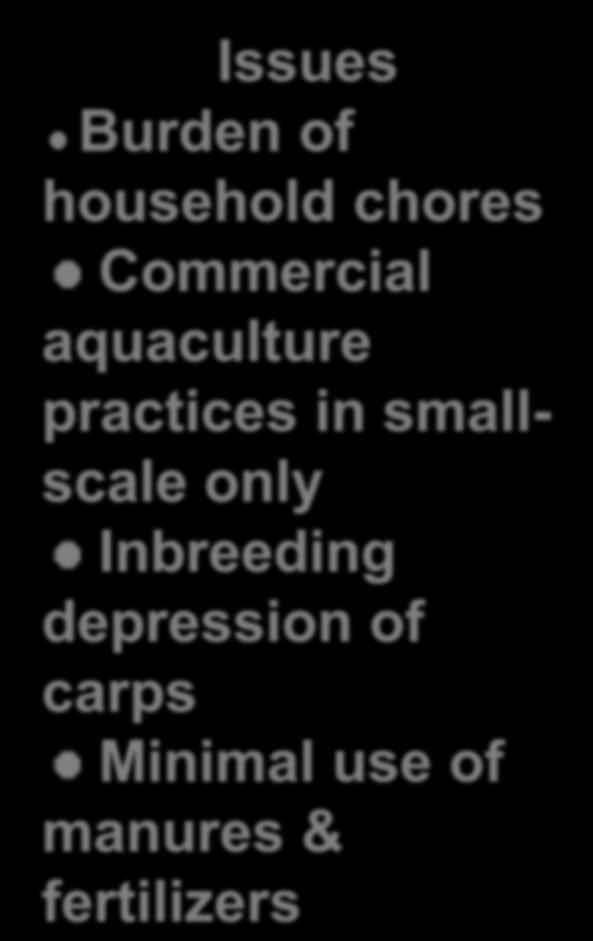 Issues Burden of household chores Commercial aquaculture practices in smallscale only Inbreeding depression