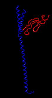 (b) 3D structures of Heat shock protein (grpe) (PDB code 1dkg) Figure 5.