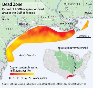 Why: Gulf of Mexico Deadzone The Deadzone in the Gulf of Mexico is a massive 6,765 square
