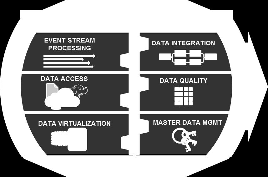 Data Integrated Platform SAS delivers a