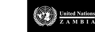 Transformation in support Zambia-United Nations Sustainable Development Partnership Framework (2016-2021) Captures the entirety of support through projects and activities of the UN agencies