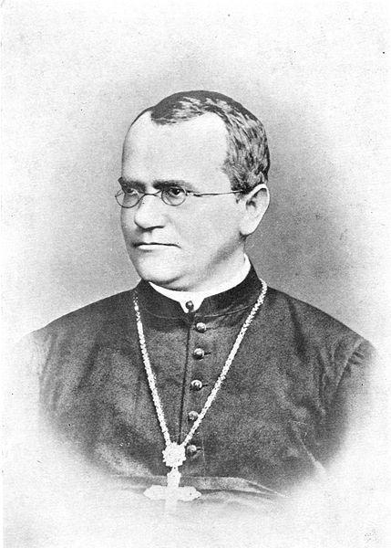 Gregor Mendel the "father of modern