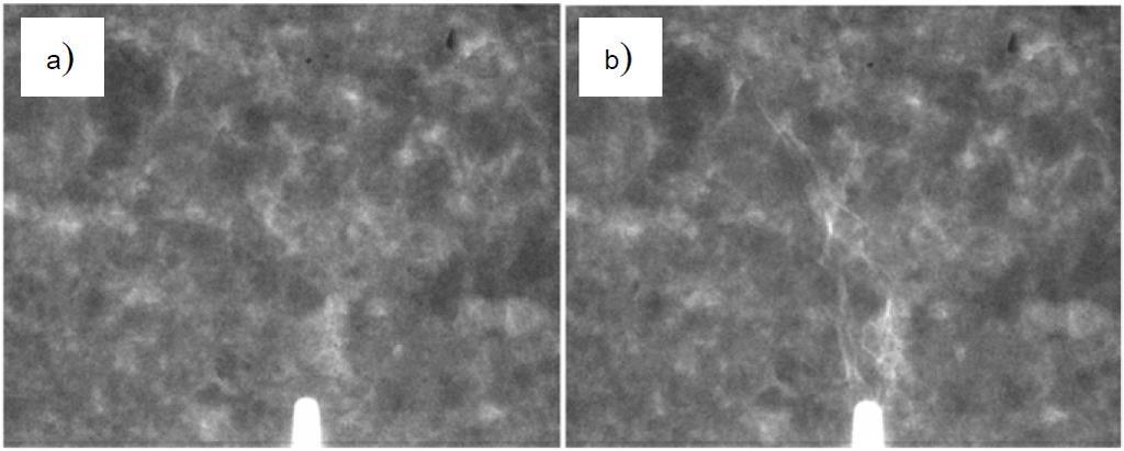 Results Figure 4 presents two concrete 2D images obtained with the micro-ct of Fig.2, which are the average image values obtained through the entire beam depth (concrete beam '2').