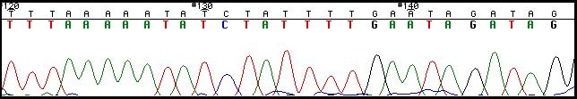 8- Non-discrete peaks these may occur when several of the same nucleotide appears in a row.