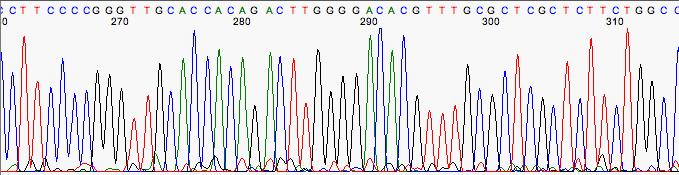 Interpreting Sequencing Chromatograms Background noise This example has a little baseline