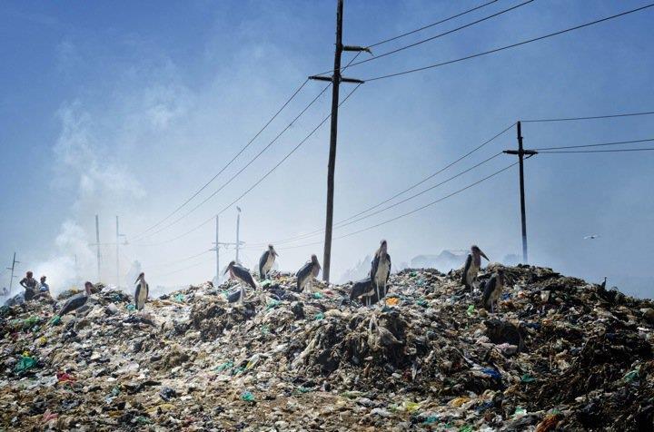 Poorly managed solid waste - Half the children living around the major (Dandora) dumpsite