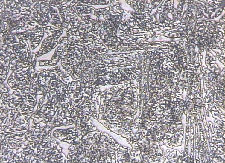 Fig. 8: Microstructure of special high speed steel calibration block at magnification x 400 showing complex carbide of Fe, W, V and Cr in temper martensitic matrix (Etchant : 3% Nital).