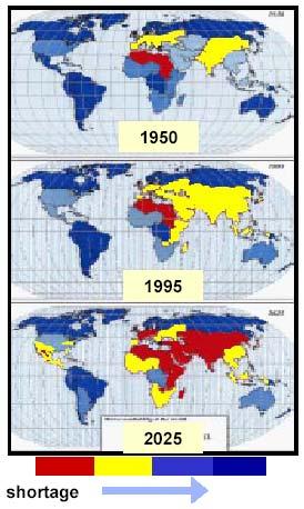 around the globe since 1950, and prediction of supply shortage issues into the future.