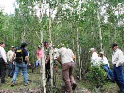 33 A 2-day Utah Forest Restoration Working