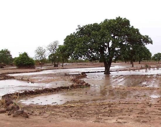 Soil and water conservation (SWC) main points Technical principles of conservation Reduce erosive power of rain drops by keeping the soil covered Fight erosion at its source and retain water where it