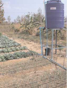 Drip irrigation Low cost