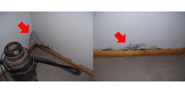 Block Home Inspections LLC David Block - 913-220-7762 MOLD INTERIOR OBSERVATIONS The purpose of the interior observations are to identify areas of mold growth in readily accessible areas.