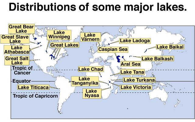 Vertical Distribution: Lakes Epilimnion: