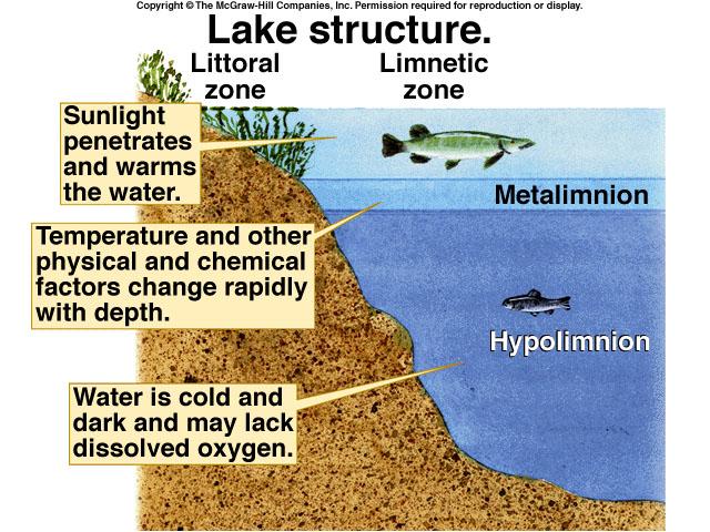 (Thermocline) temp changes substantially
