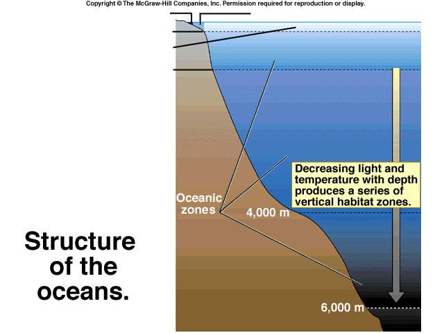 Approximately 80% of solar energy striking the ocean is absorbed in first 10m Very little, if any penetrates past 600m Sunlight increases velocity of water