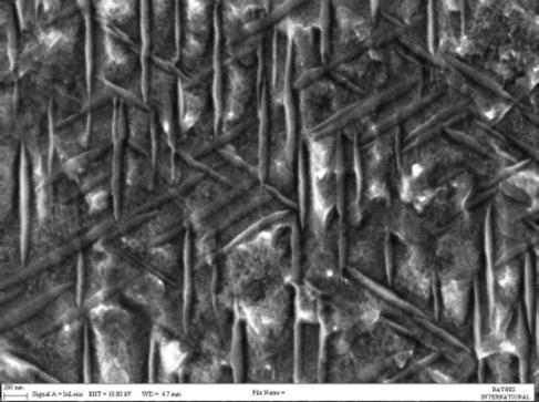 MATEC Web of Conferences 500 nm Figure 9. SEM in-lens image of the typical microstructure of 244 alloy after a 427 C/8000 h thermal exposure. The scale bar indicates 500 nm. Figure 11.