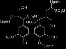 (Biorefinery) Some commercially available, but no current lignin production Steam explosion (eg. Biochemtex, Abengoa) Organosolv lignins (eg.
