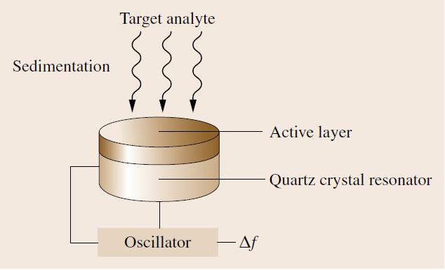 Biomechanical Signals: Mass Quartz microbalance measurement is based on resonance