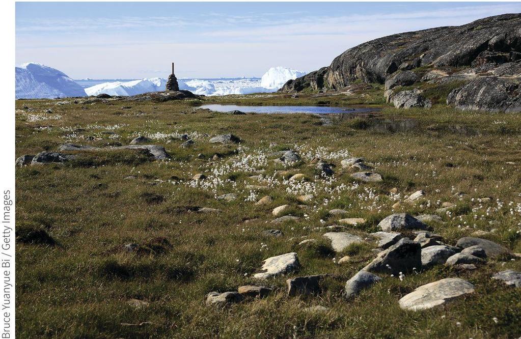 Tundra Nutrient poor soils with little organic material Permafrost present Low species