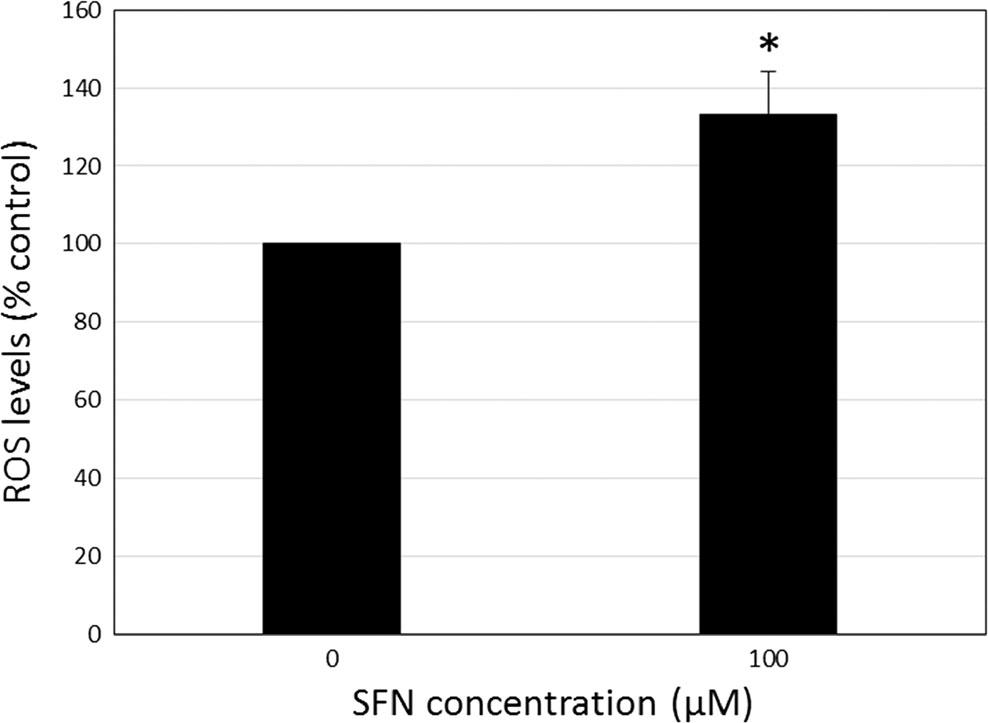 JMolMed Fig. 6 SFN can increase ROS production in FHL124 human lens epithelial cells. The effect of 100 μm SFN on ROS production was detected2hfollowinginitialexposure.