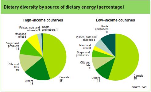 Figure 6. Dietary Diversity in High- and Low-Income Countries, by Source (percentage) Source: FAO 2009a An improperly diverse diet leads to a host of deleterious effects, especially in children.