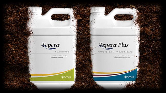 The Value of TEPERA PLUS and TEPERA Highly systemic, fast-acting, residual strobilurin fungicide controls soil-borne and seedling diseases Improves plant health and yield in corn