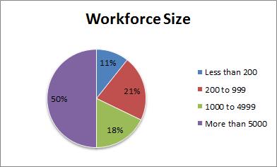 The basics Fifty percent of our survey respondents have a workforce of more than 5,000.