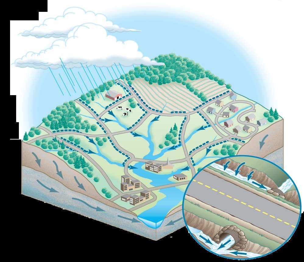 Roadside Drainage Networks What role do they play in: