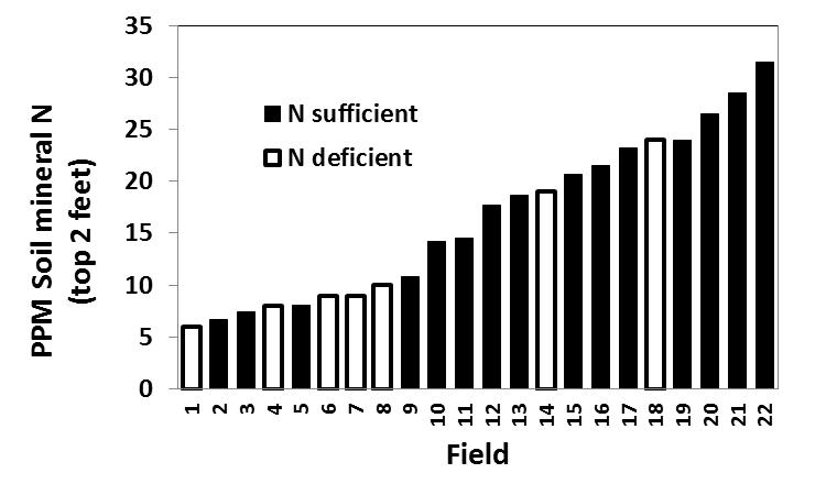 Managing Nitrogen in Organic Tomato Production, cont. from pg 6 P A G E 7 Figure 1.