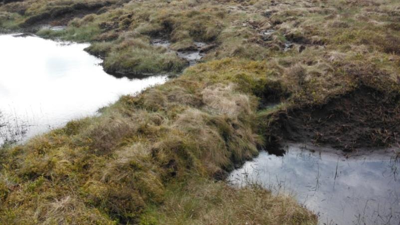 Agricultural and upland drainage activities Installed to