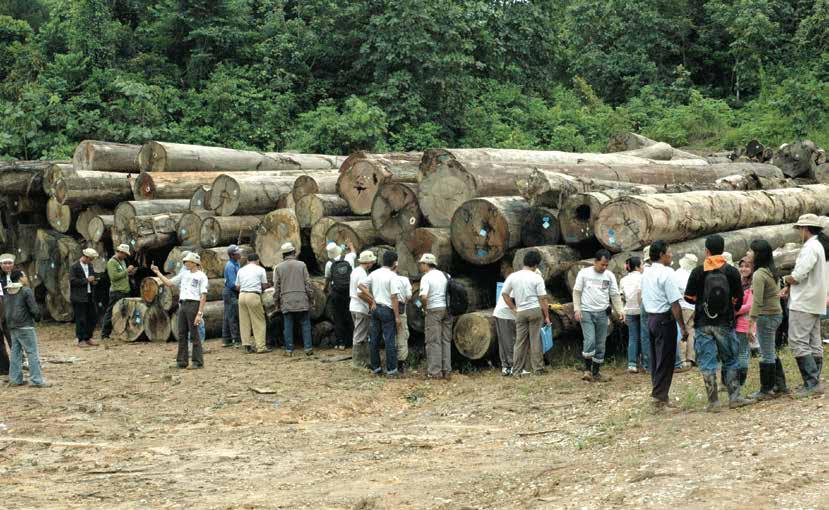 3 Photo: European Union Why was FLEGT created? In the late 1990s, the issue of illegal logging drew public and political attention.