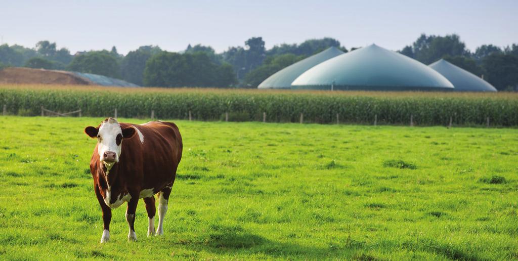 AGRIFOOD RNG FOR TRANSPORTATION DEMONSTRATION PROGRAM Ontario is proposing to pilot a program that uses methane obtained from agricultural materials or food wastes for transportation purposes.