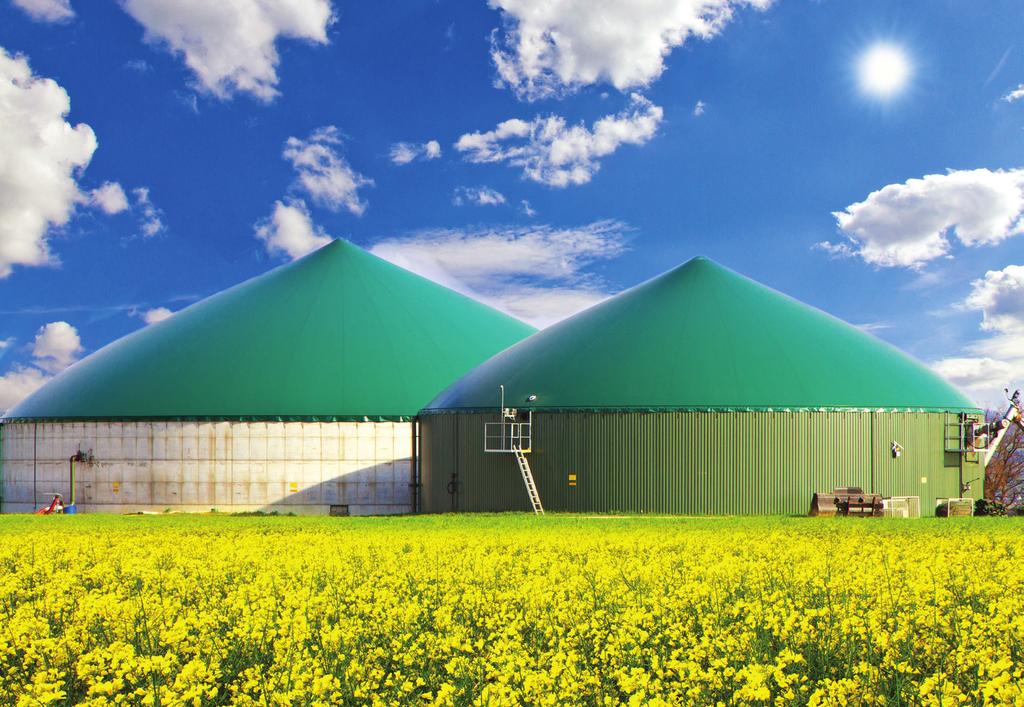 Introduction The Canadian Biogas Association (CBA) convened a RNG Working Group comprised of industry and government representatives that met several times in 2016 and 2017.