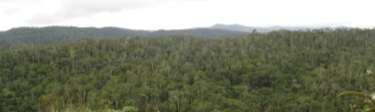 8% of national territory) High deforestation rate: 0.8% 0.5% 0.4% -?