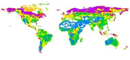 Global soil models and peat Stock