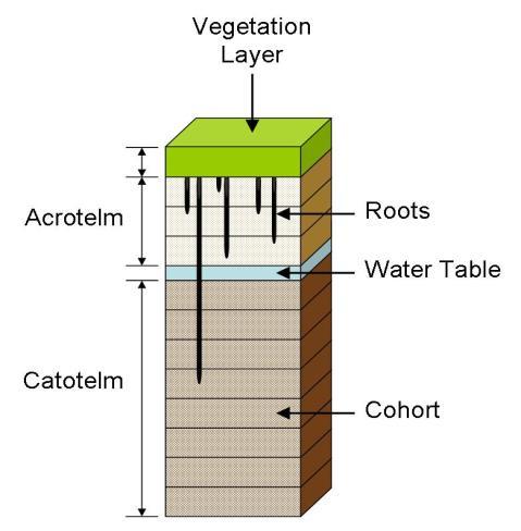 MILLENNIA: build-up of current C stocks NPP (g C m -2 yr -1 ) 0 1000 2000 3000 4000 Water table depth (cm) 5000 6000 7000 8000 9000 10000 SOC (kg C m -2 ) Erosion Runoff Incorporate organic matter