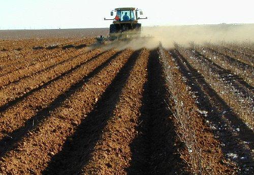 Tillage and planting