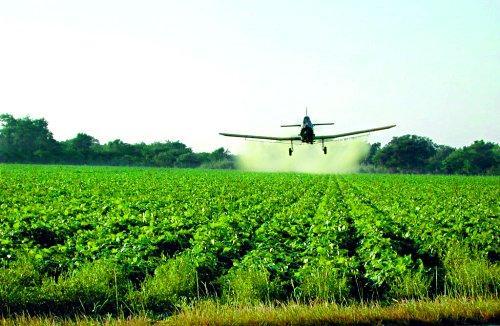 Fertilizer & pesticide