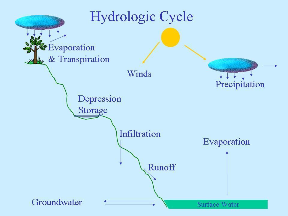 Suface Wate Hydology Intoduction Wate is a key component in the life cycles of all oganisms because of its ability to dissolve many substances (univesal solvent) and as a cooling agent.