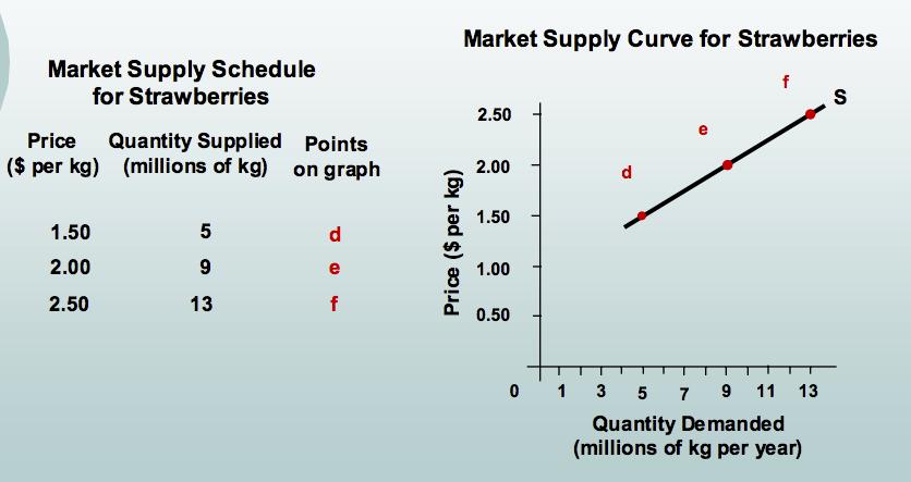 2.2 SUPPLY 2.4 MARKET EQUILIBRIUM Market supply: Price of t-shirt Market Demand Market Supply Shortage/ Surplus $20 16 0-16 $24 12 4-8 $28 8 8 0 $32 4 12 +8 $36 0 16 +16 2.4 MARKET EQUILIBRIUM 2.