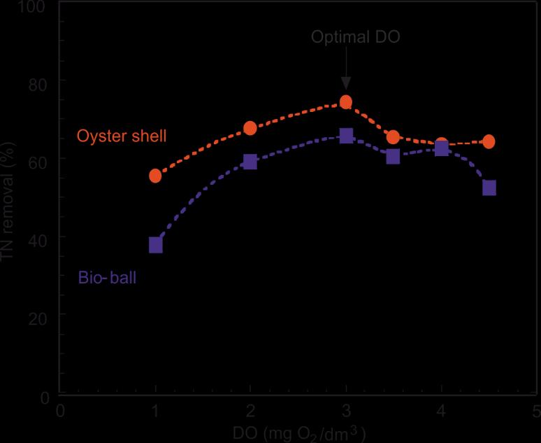 Nitrification-denitrification in a biological aerated filter system using oyster shell 81 processes other than a two-step nitrification-denitrification generally require strict environment conditions.
