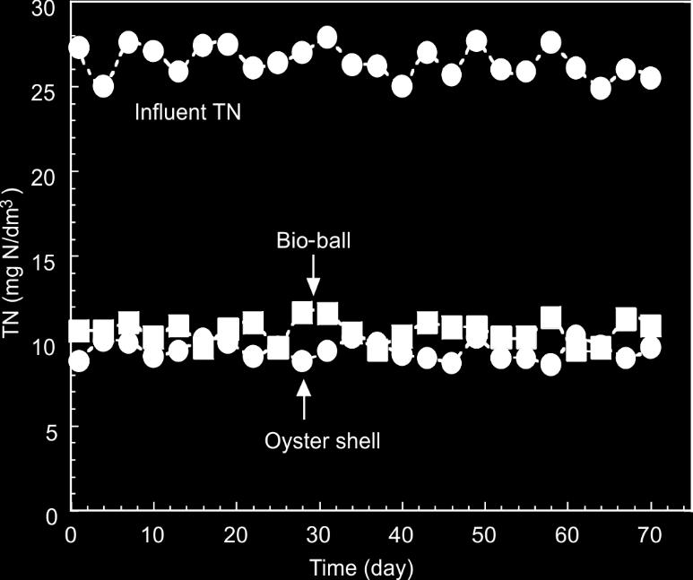 Nitrification-denitrification in a biological aerated filter system using