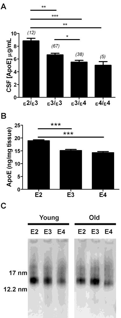 Figure S4. ApoE concentration is higher in the context of apoe2 in both humans and in PDAPP/TRE mice.